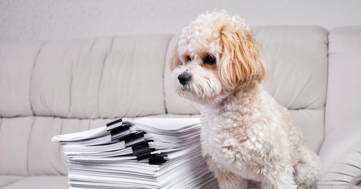 ESA for Renters: 2025 Housing Rights, Landlord Rules