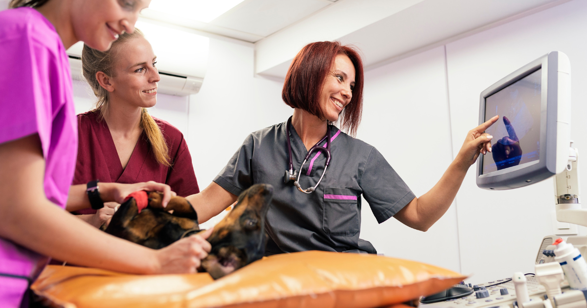 Veterinary Cost ESA 2025: Annual Costs, Savings + Tips