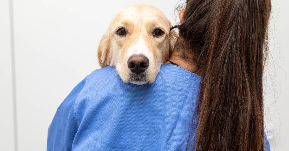 Veterinary Cost ESA 2025: Annual Costs, Savings + Tips