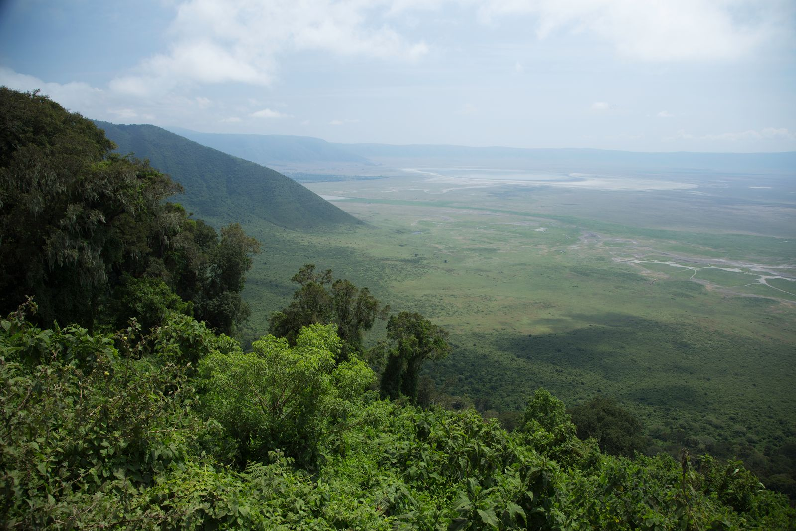 Kilimanjaro Weather 2026: Month-by-Month & Zone Guide