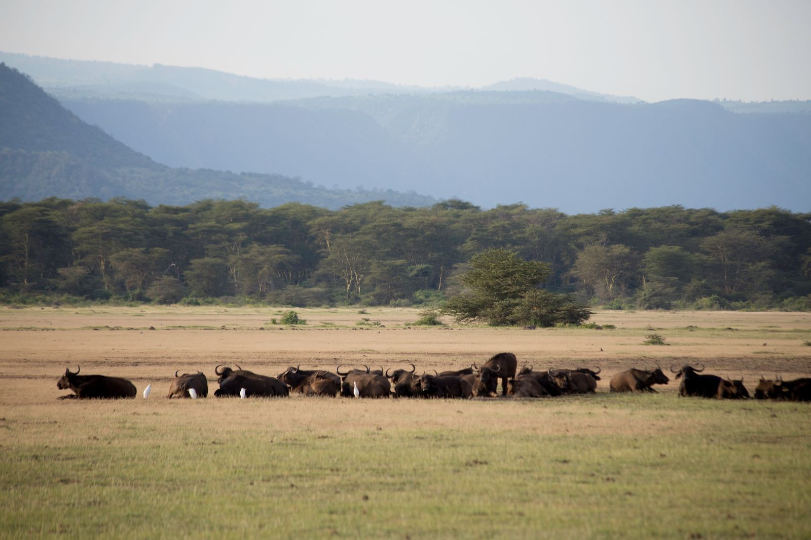 East Africa Best Time to Visit (2026): Season-by-Season