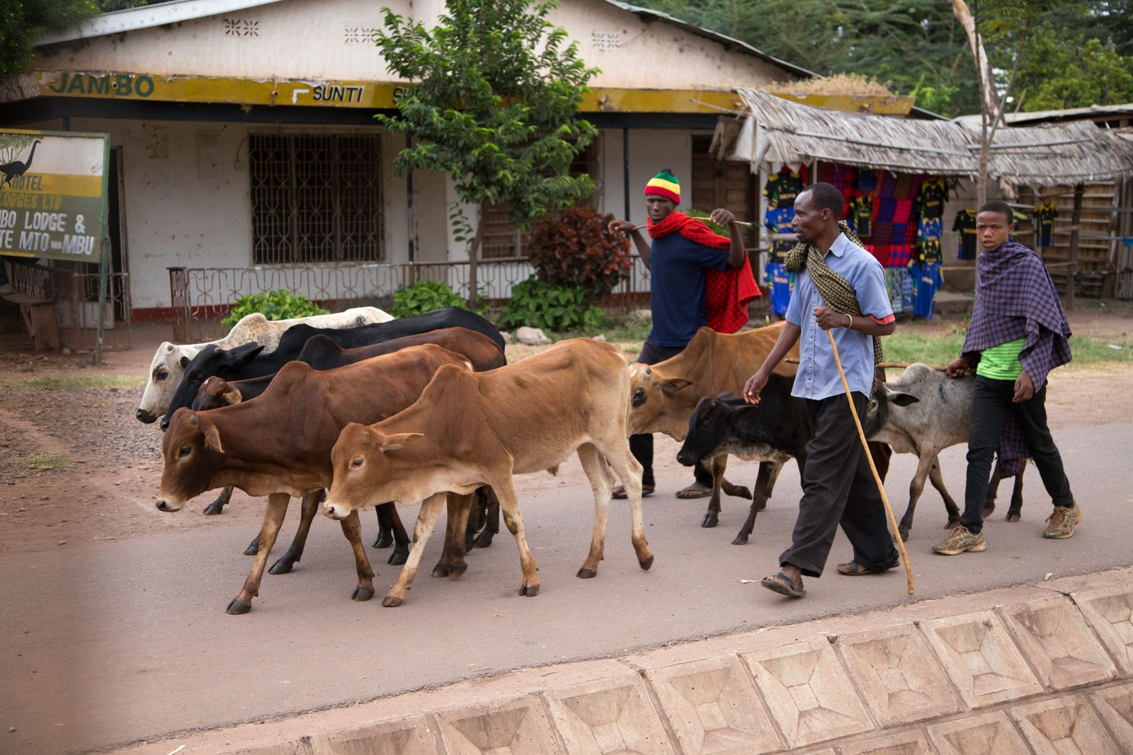East Africa Best Time to Visit (2026): Season-by-Season