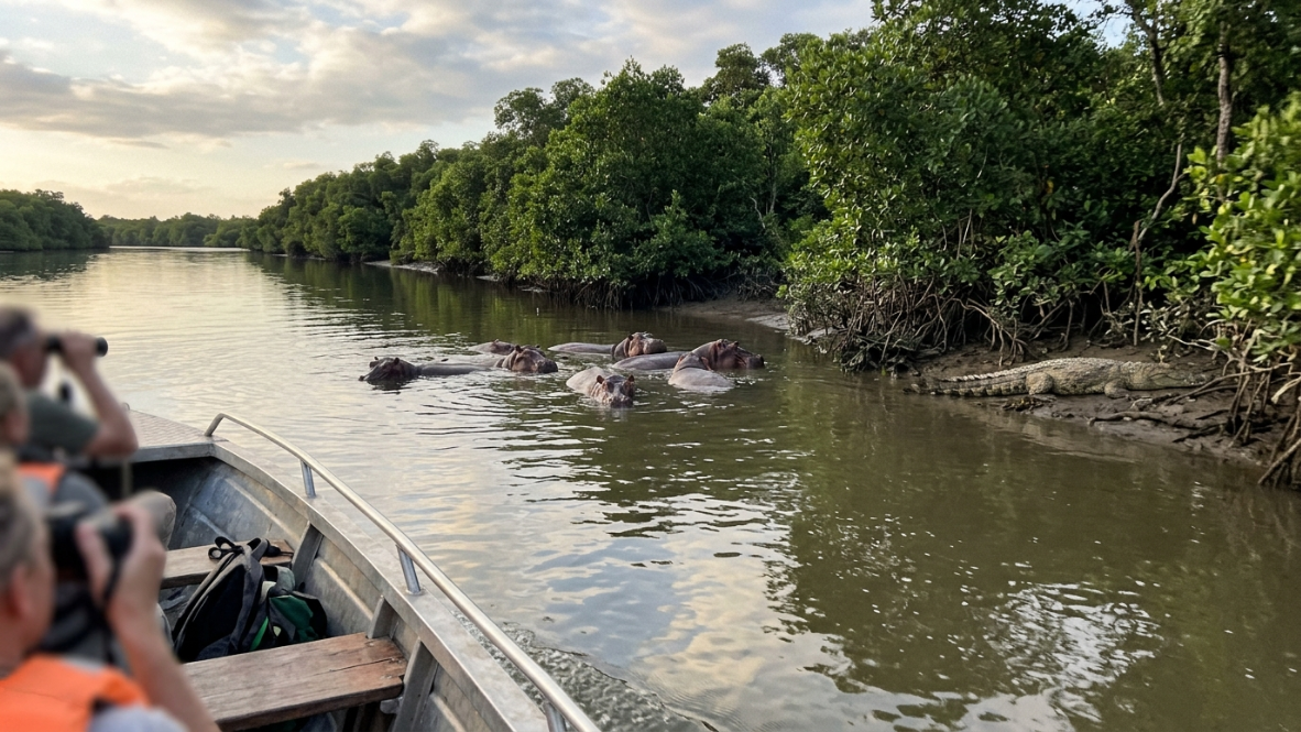 Saadani National Park Guide 2026: Beach & Bush Safari