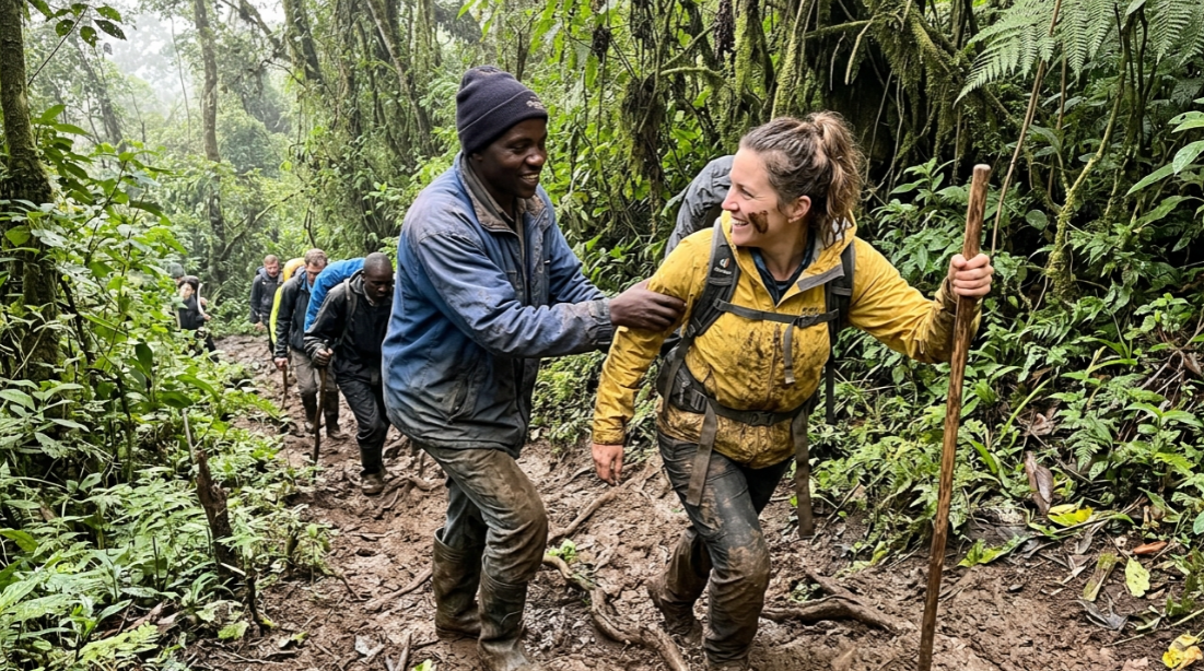 Where to Go Gorilla Trekking in 2026: Rwanda, Uganda, DRC