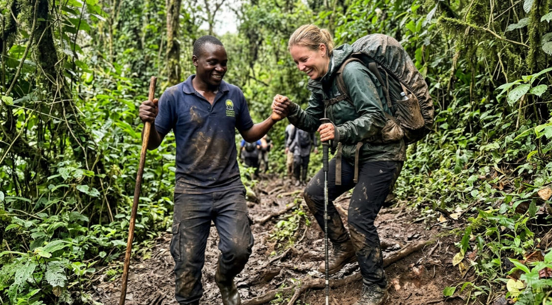 Where to Go Gorilla Trekking in 2026: Rwanda, Uganda, DRC