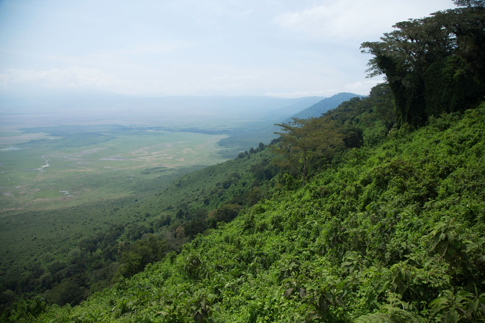 14-Day Tanzania Itinerary 2026: Safari + Zanzibar Guide