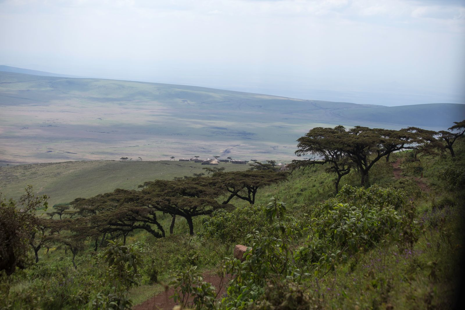 14-Day Tanzania Itinerary 2026: Safari + Zanzibar Guide