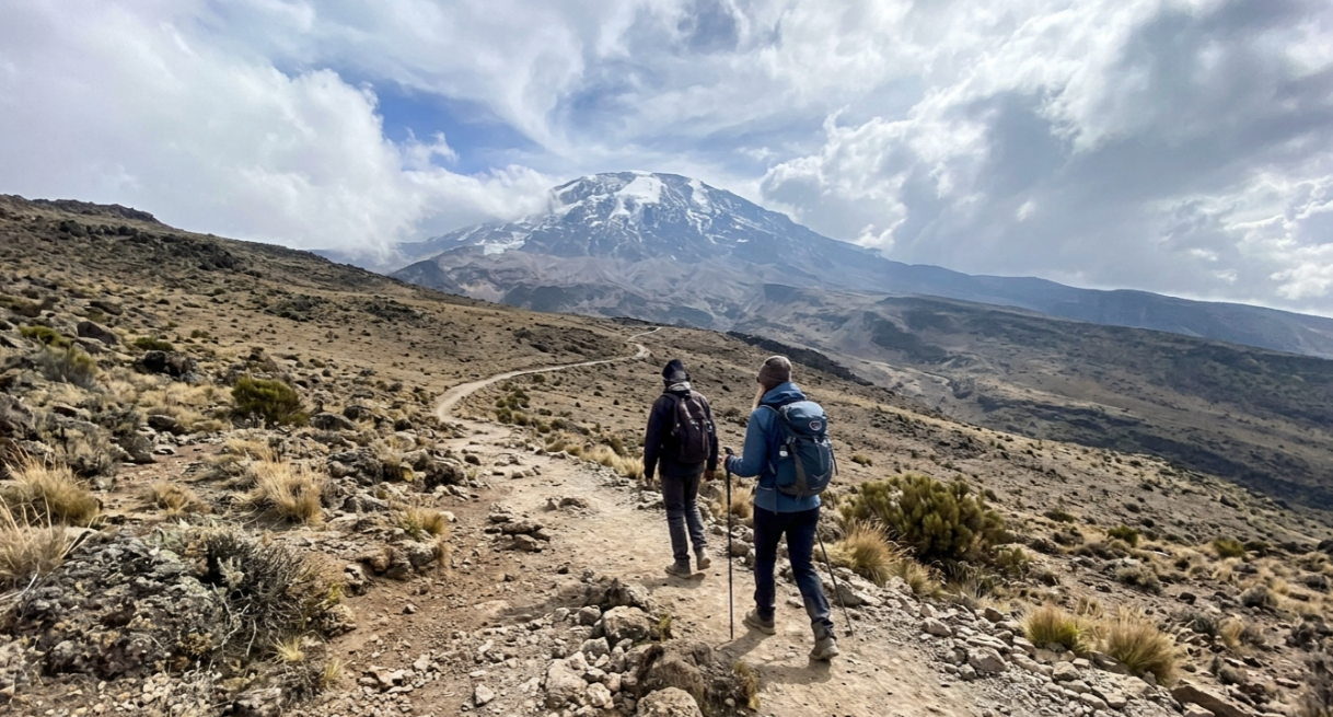 Kilimanjaro Solo Climb (2026): Rules, Costs & Safety