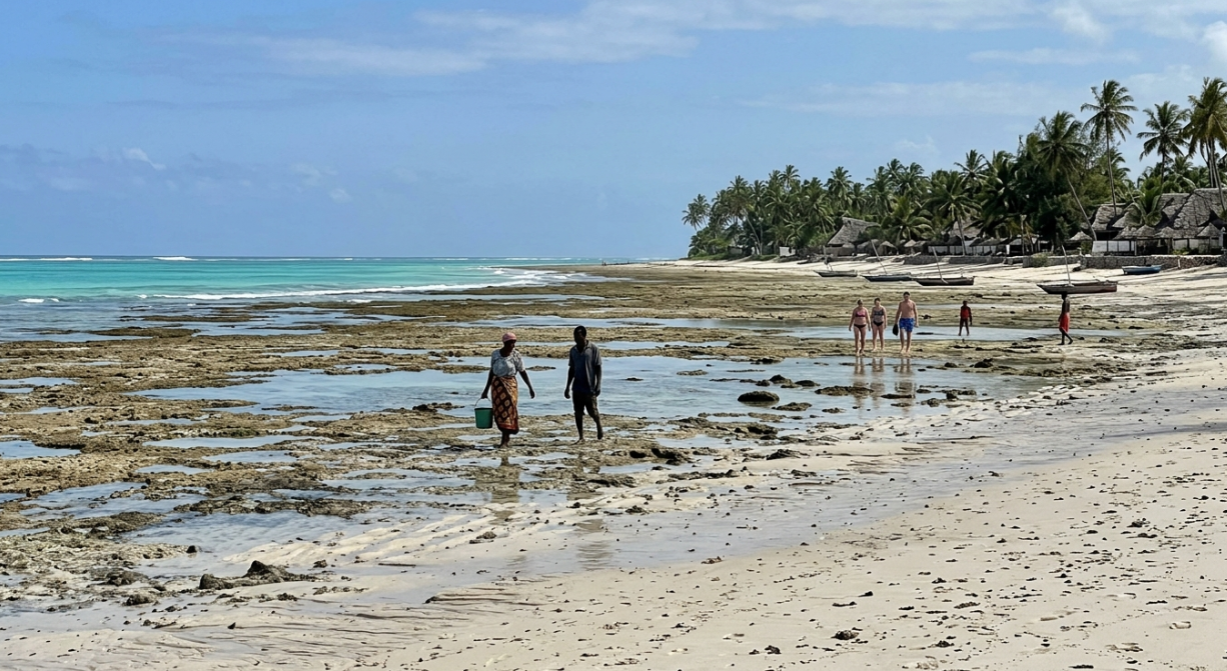 Zanzibar Weather 2026: Seasons, Winds & When to Go