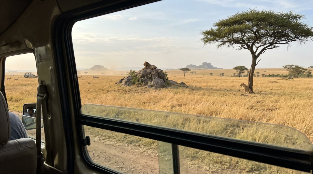 Serengeti Honeymoon Glossary 2026: 30+ Terms to Know